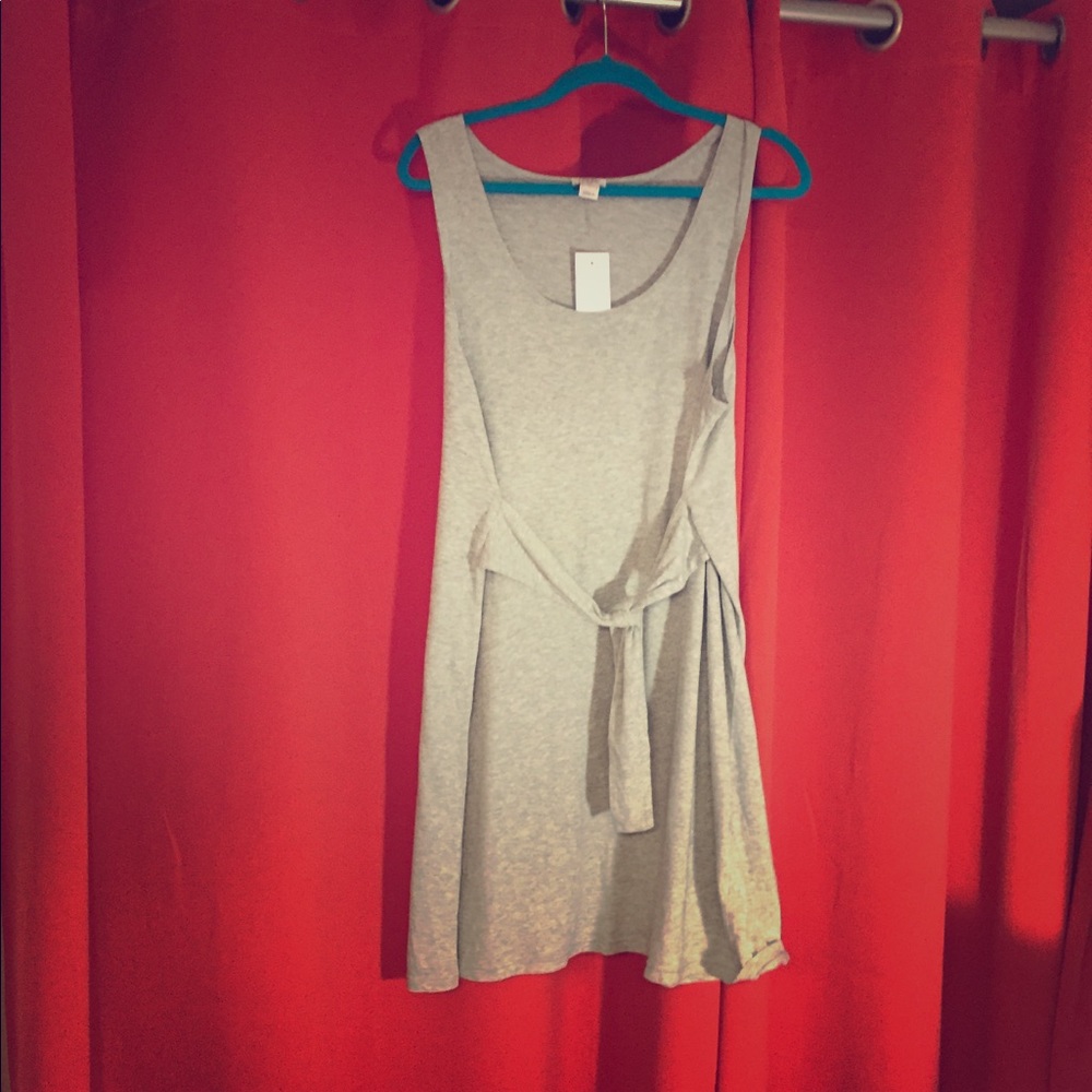 💯 % cotton gray dress. NWT. J.crew. Size L